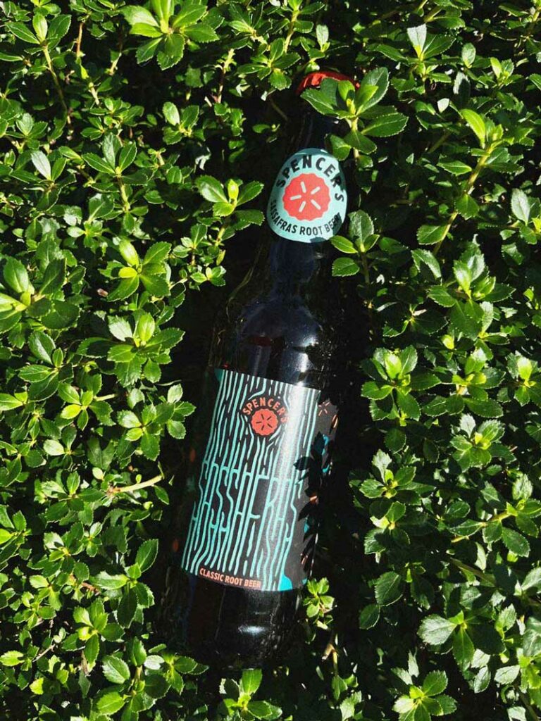 Up close image of classic flavor root beer bottle laying in some greenery.